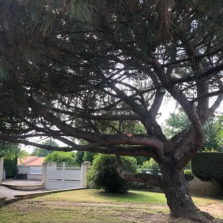 En Charente Вилла Saint-Simeux